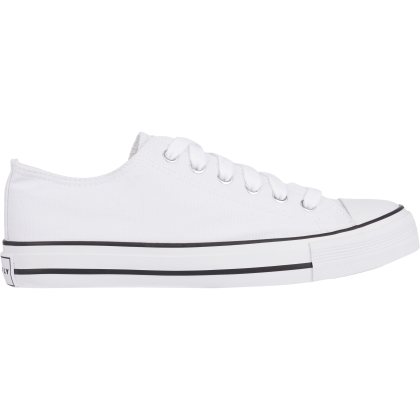 Firefly Canvas Low IV