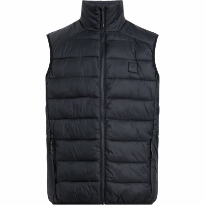 McKINLEY Erik VST