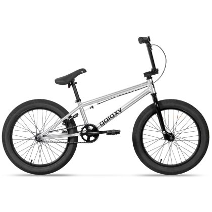 Galaxy Early Bird 20" - model 2023 strieborná