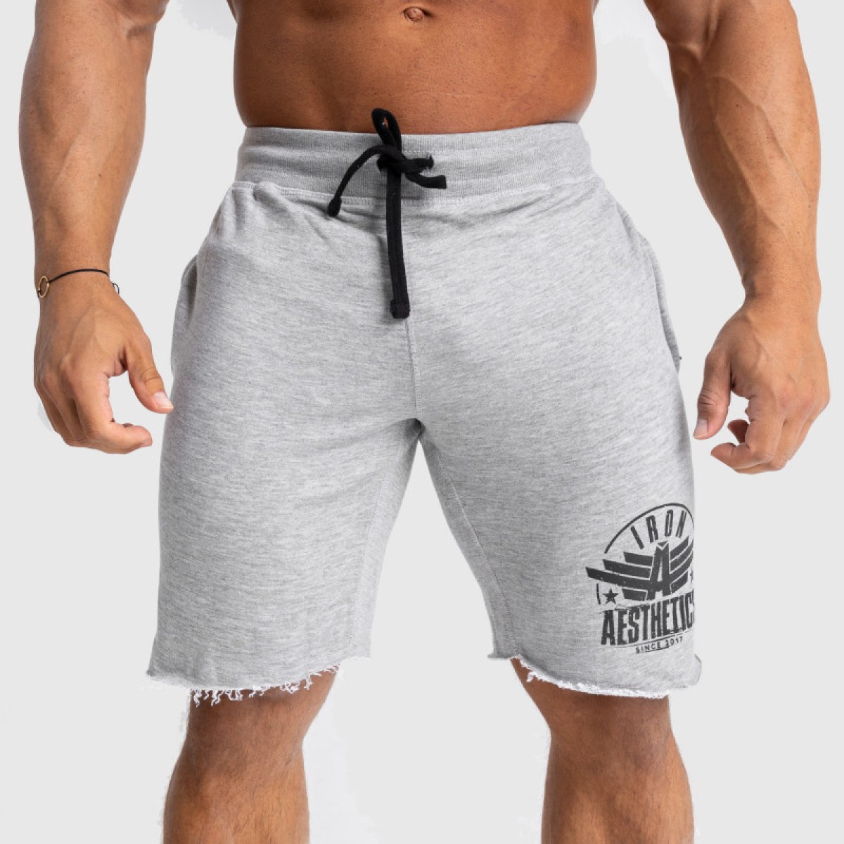 Pánske teplákové kraťasy Iron Aesthetics Force, sivé · záber 2