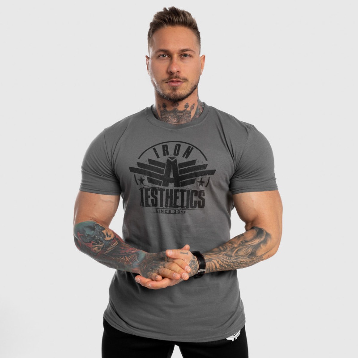 Pánske fitness tričko Iron Aesthetics Force, sivé · záber 2