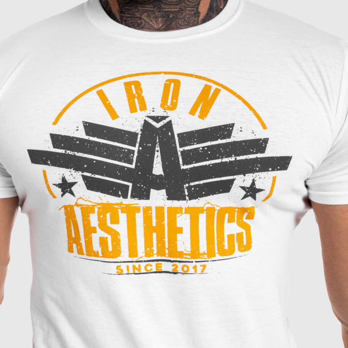 Pánske fitness tričko Iron Aesthetics Force, biele · záber 3