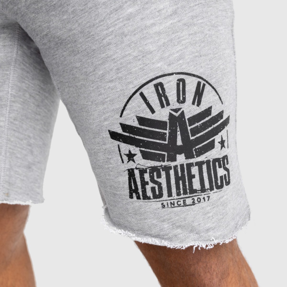 Pánske teplákové kraťasy Iron Aesthetics Force, sivé · záber 5