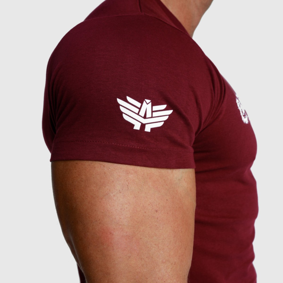 Pánske fitness tričko Iron Aesthetics Unbroken, bordové · záber 3