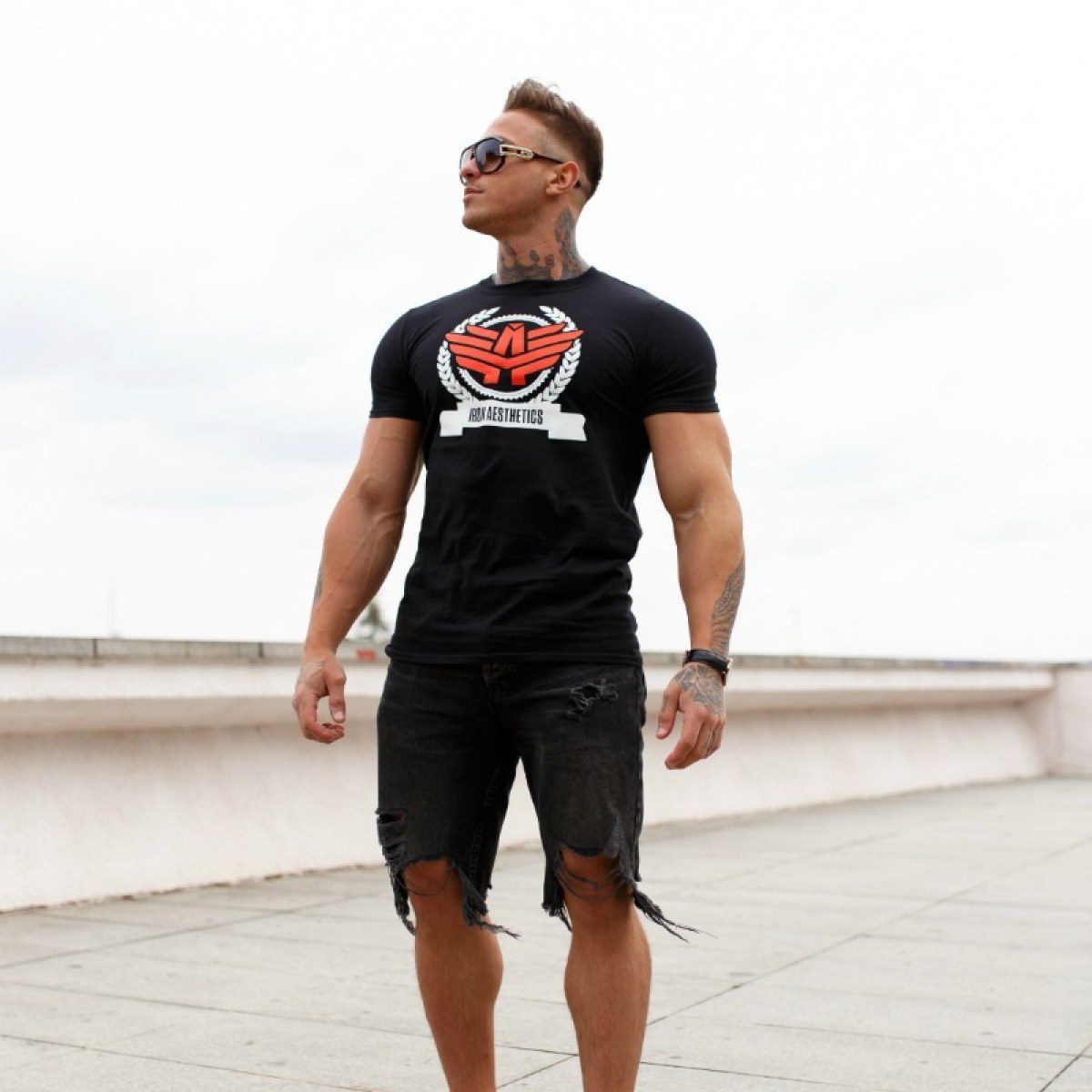 Pánske fitness tričko Iron Aesthetics Triumph, čierne · záber 4