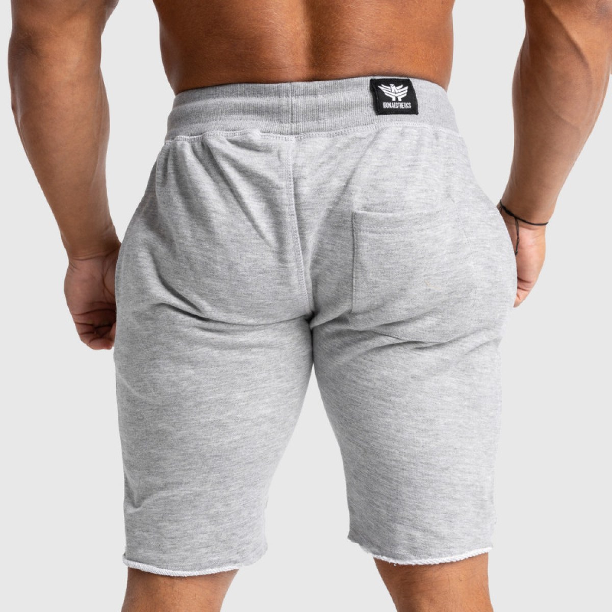 Pánske teplákové kraťasy Iron Aesthetics Force, sivé · záber 4