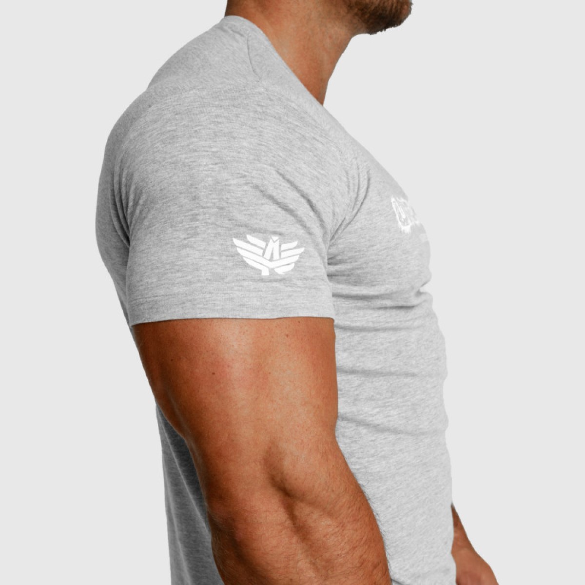 Pánske fitness tričko Iron Aesthetics Unbroken, sivé · záber 4