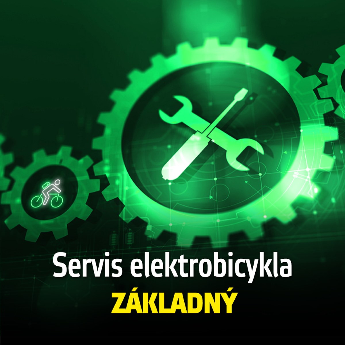 inSPORTline servis Servis elektrobicykla - ZÁKLADNÝ · záber 1