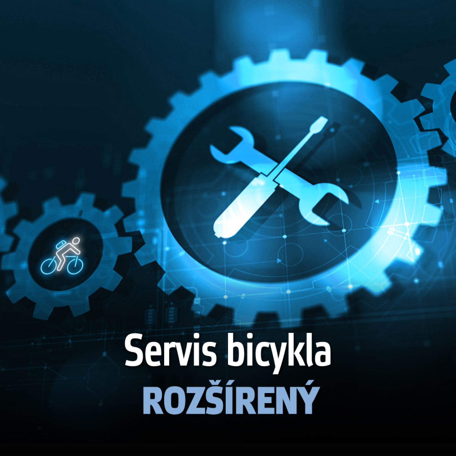inSPORTline servis Servis bicykla - rozšírený · záber 1