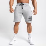 Pánske teplákové kraťasy Iron Aesthetics Force, sivé · záber 3