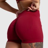Športové kraťasy Iron Aesthetics Shape, bordové · záber 4