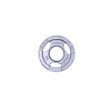 Liatinový olympijský kotúč inSPORTline Hamerton 1,25 kg 50 mm · záber 2