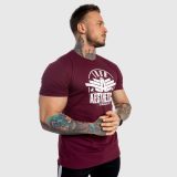 Pánske fitness tričko Iron Aesthetics Force, bordové · záber 4
