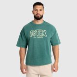 Pánske tričko Iron Aesthetics ASTHX, washed green · záber 1