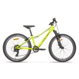 Galaxy Pavo 24" - model 2024 žltá - 12" (138-148 cm) · záber 1