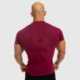 Pánske fitness tričko Iron Aesthetics Standard, bordové · záber 5