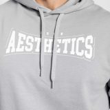 Mikina s kapucňou Iron Aesthetics Frontline, sivá · záber 5