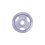 Liatinový kotúč inSPORTline Hamerton 5 kg 30 mm · záber 2