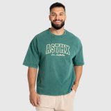 Pánske tričko Iron Aesthetics ASTHX, washed green · záber 2