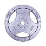 Liatinový kotúč inSPORTline Hamerton 25 kg 30 mm · záber 2