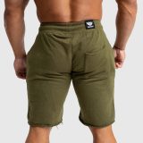 Pánske teplákové kraťasy Iron Aesthetics Force, vojenská zelená · záber 3