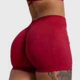 Športové kraťasy Iron Aesthetics Shape, bordové · záber 1