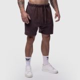 Pánske bavlnené šortky Iron Aesthetics Ambition, fialové · záber 3