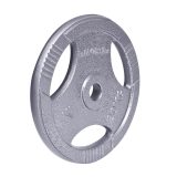 Liatinový kotúč inSPORTline Hamerton 20 kg 30 mm · záber 1