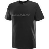 Salomon Big Logo Tee M - Veľkosť: L · záber 1