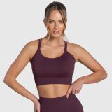 Dámska športová podprsenka Iron Aesthetics Ultimate, plum · záber 1