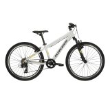 Kross Dust JR 1.0 24" - model 2025 šedá/čierna/lesk - S (12", 130-150 cm) · záber 1