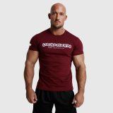 Pánske fitness tričko Iron Aesthetics Unbroken, bordové · záber 2
