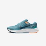 Nike Air Zoom Structure 24 W - Veľkosť: 38,5 · záber 2