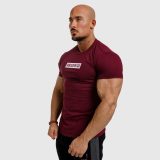 Pánske fitness tričko Iron Aesthetics Boxed, bordové · záber 4