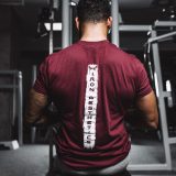 Pánske fitness tričko Iron Aesthetics Force, bordové · záber 3