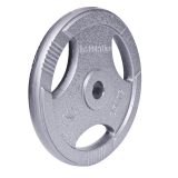 Liatinový kotúč inSPORTline Hamerton 25 kg 30 mm · záber 1