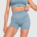 Športové šortky Iron Aesthetics Elevate, sivé · záber 2