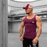 Pánska šiltovka Iron Aesthetics Boost, burgundy/stone · záber 3