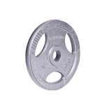 Liatinový kotúč inSPORTline Hamerton 10 kg 30 mm · záber 1