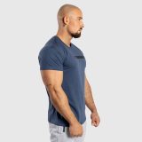 Pánske fitness tričko Iron Aesthetics Gym, modré · záber 4