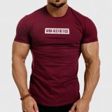 Pánske fitness tričko Iron Aesthetics Boxed, bordové · záber 1