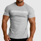 Pánske fitness tričko Iron Aesthetics Unbroken, sivé · záber 2