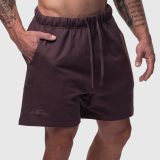 Pánske bavlnené šortky Iron Aesthetics Ambition, fialové · záber 1