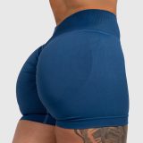 Športové kraťasy Iron Aesthetics Shape, modré midnight · záber 1