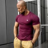 Pánske fitness tričko Iron Aesthetics Standard, bordové · záber 3