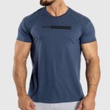 Pánske fitness tričko Iron Aesthetics Gym, modré · záber 2