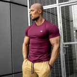 Pánske fitness tričko Iron Aesthetics Standard, bordové · záber 1