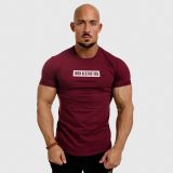 Pánske fitness tričko Iron Aesthetics Boxed, bordové · záber 2