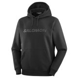 Salomon Big Logo Hoodie M - Veľkosť: M · záber 1