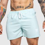 Pánske plavecké šortky Iron Aesthetics Sunshine, ice mint · záber 2